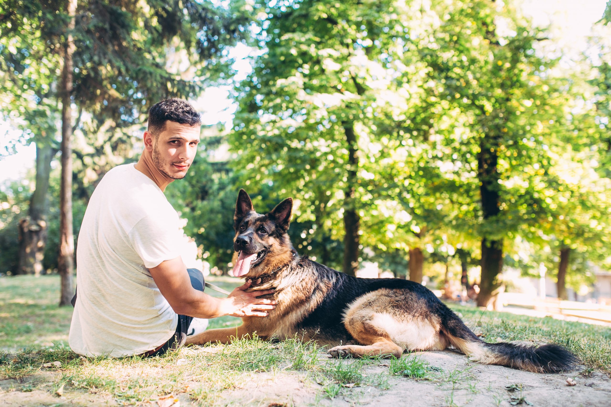 5 Expert Tips for Training a Dog: Guide for Pet Owners